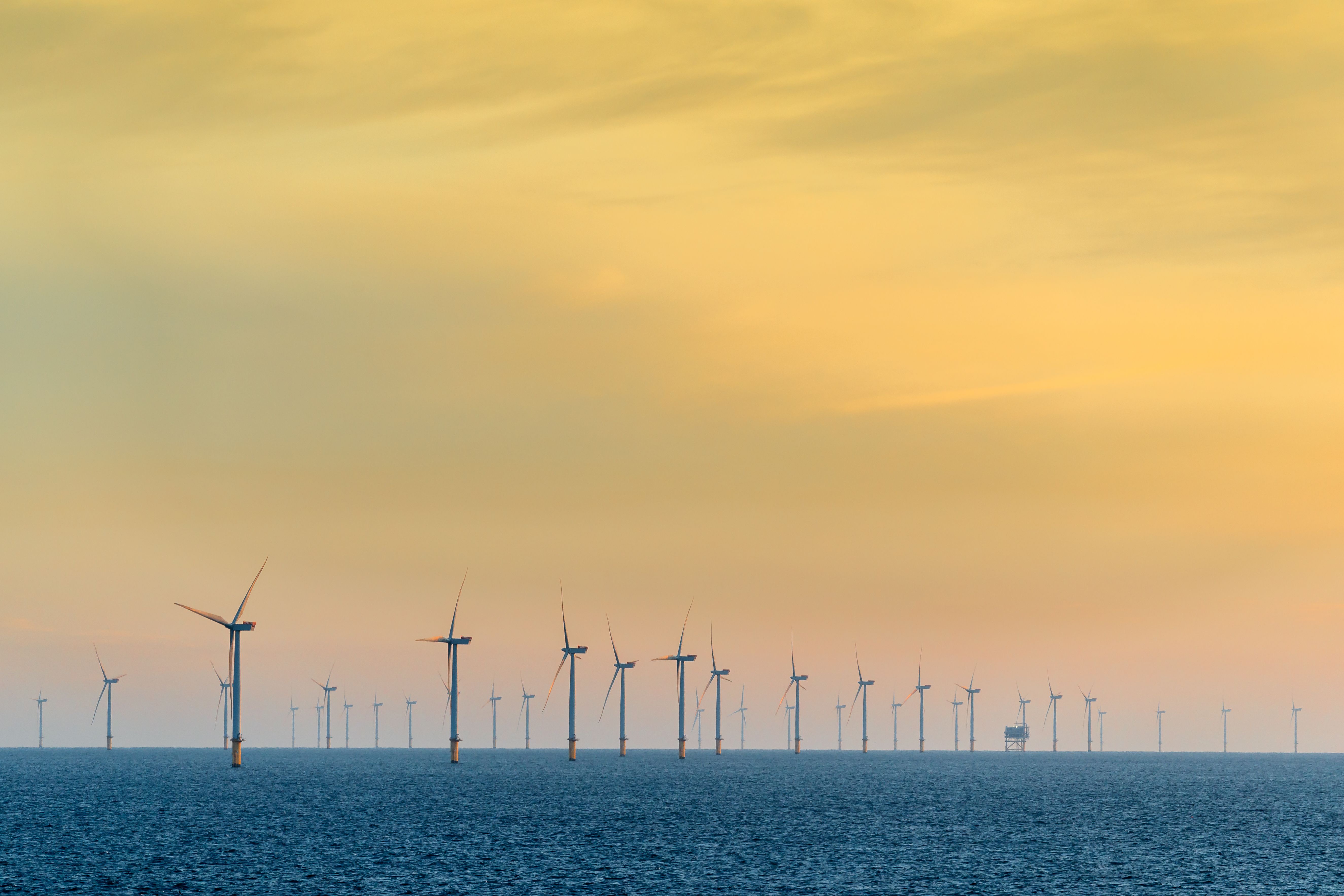 Photo of dozens of offshore wind turbines in the ocean at sunset.