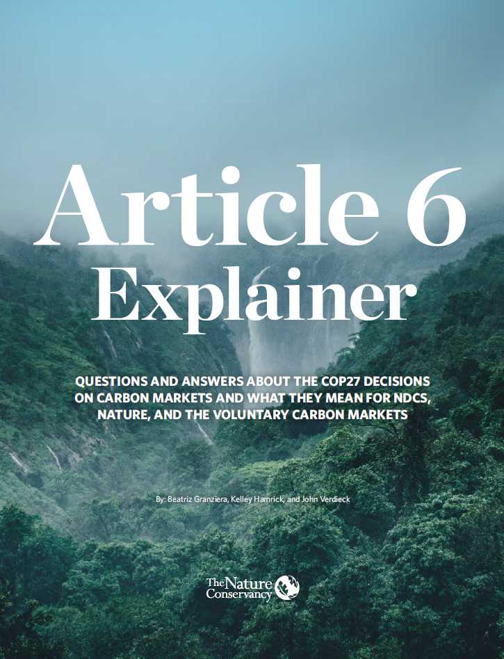 Cover of the Article 6 Explainer document.