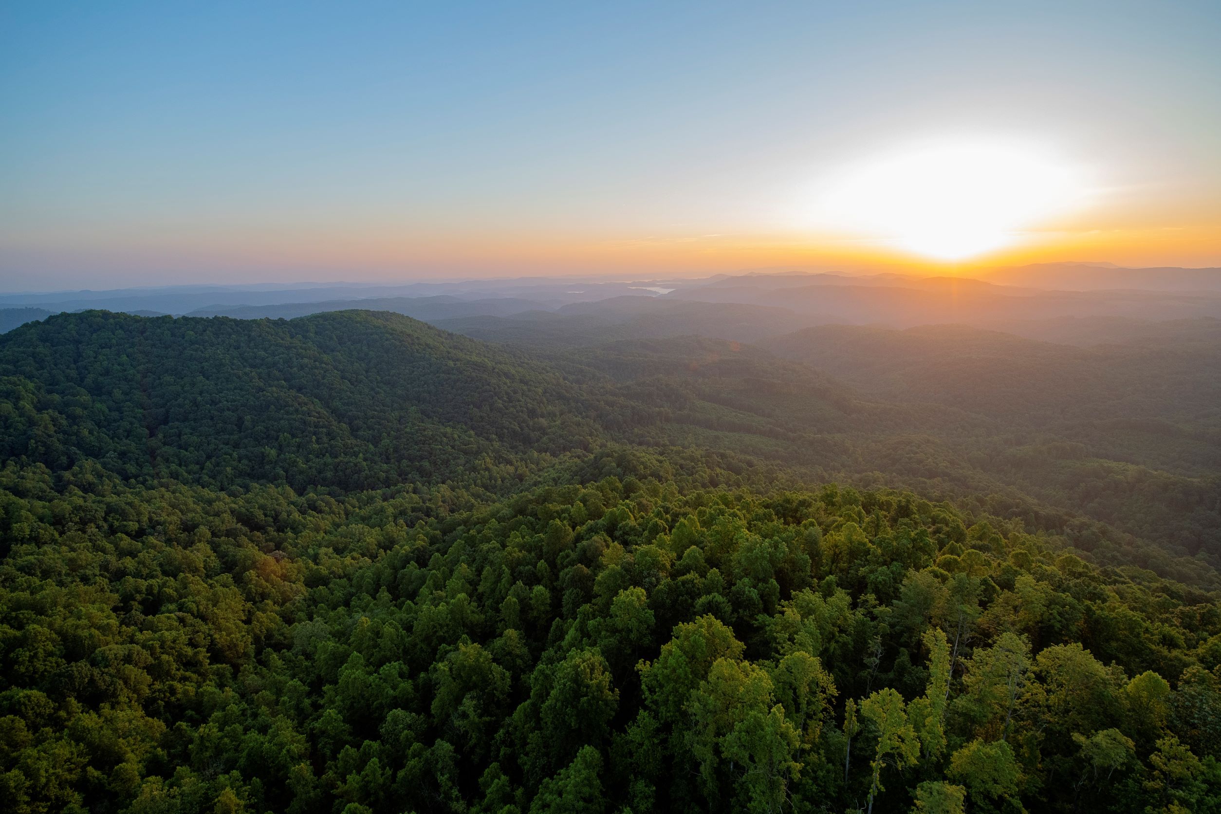 A sunset over a green forest