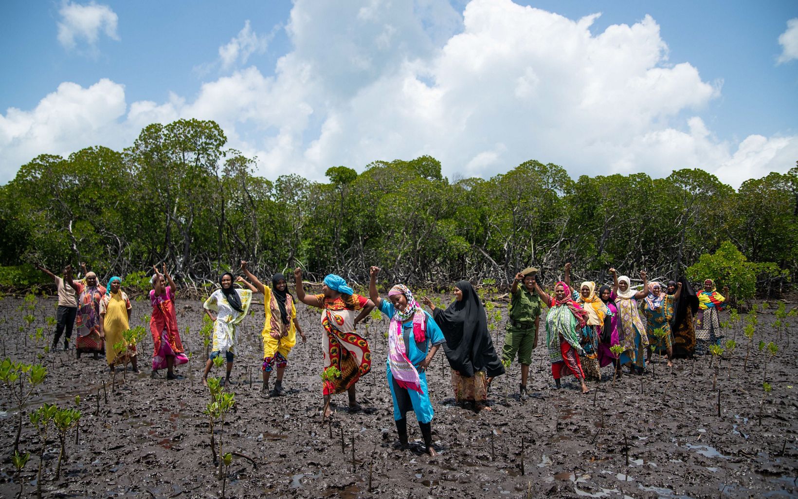 Mangrove Restoration The Mtangawanda Women's Association in Kenya's Pate Marine Community Conservancy is restoring mangroves: storing carbon and adapting to climate change. © Roshni Lodhia