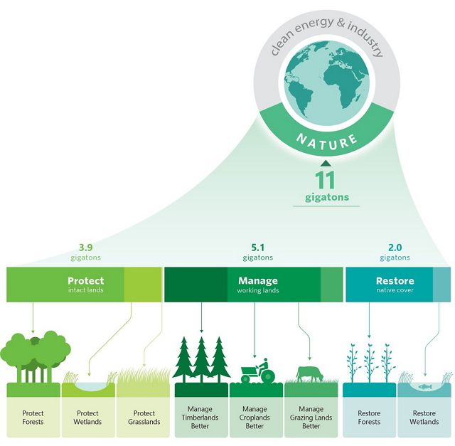 Graphic showing the different pathways to protect, manage and restore lands that add up to 11 gigatons of reduced  emissions.