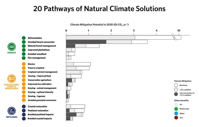 Infographic showing 20 pathways of NCS potential