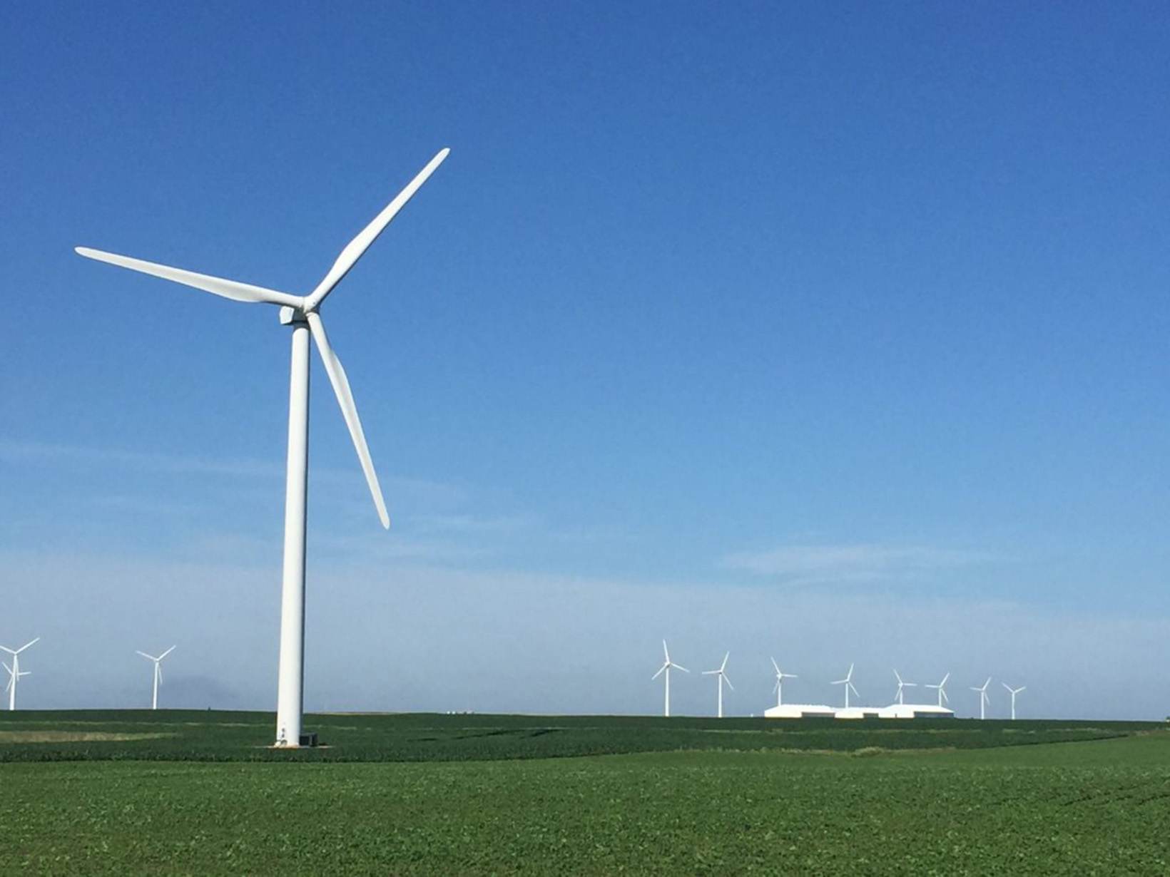 Photo of a wind turbine in a broad, flat Iowa field, with other turbines in background.